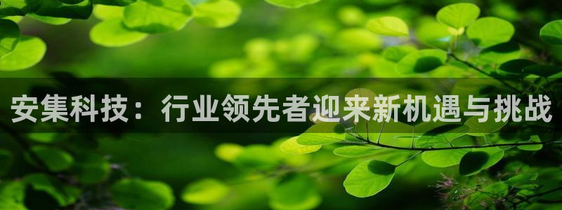 安集科技：行业领先者迎来新机遇与挑战