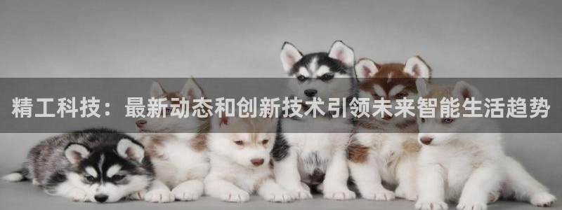精工科技：最新动态和创新技术引领未来智能生活趋势