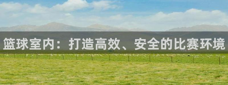 篮球室内：打造高效、安全的比赛环境