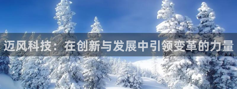 迈风科技：在创新与发展中引领变革的力量